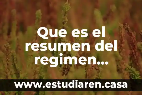Que es algebra resumen 6 Que es el resumen del regimen obligatorio