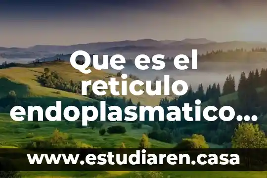 Qué es célula animal y vegetal sus partes y funciones 3 Que es el reticulo endoplasmatico rugoso en la celula animal