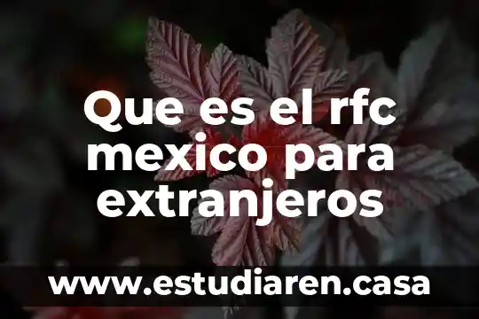 Que es la inmediacion en materia laboral en mexico 7 Que es el rfc mexico para extranjeros