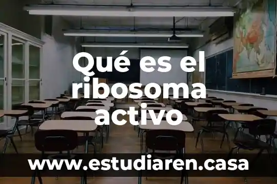 Qué es el ribosoma activo