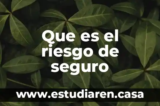 Que es el riesgo de seguro