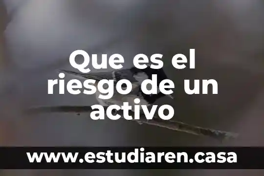 Qué es el ribosoma activo 4 Que es el riesgo de un activo