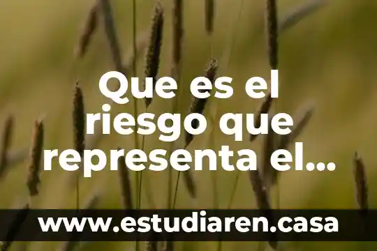 Qué es un especimen química y cómo se representa 5 Que es el riesgo que representa el mercado