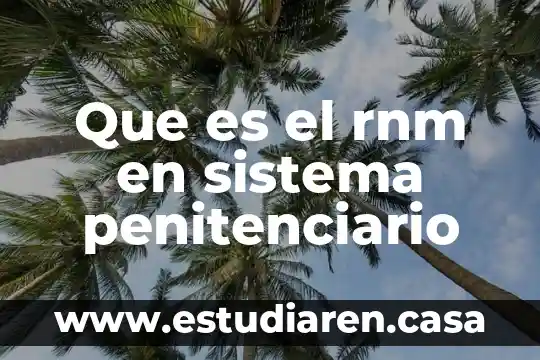 Que es un sistema de inormación 3 Que es el rnm en sistema penitenciario