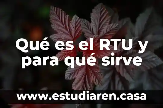 Qué es un endocrinólogo y para qué sirve 6 Qué es el RTU y para qué sirve