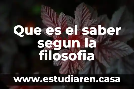 Que es el saber segun la filosofia