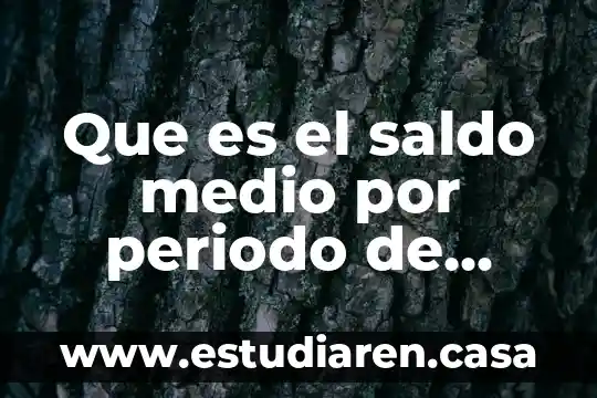 Que es innovación de campo 8 Que es el saldo medio por periodo de liquidación