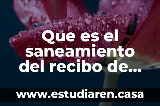 Que es el saneamiento del recibo de agua