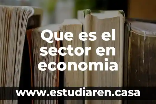 Que es sector empresarial definicion 6 Que es el sector en economia