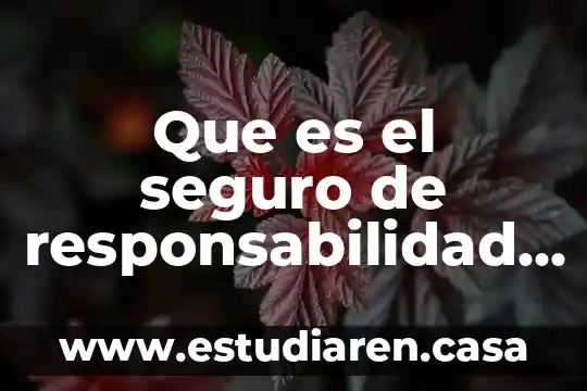 Qué es la responsabilidad patrimonial de los poderes públicos 8 Que es el seguro de responsabilidad civil profesional