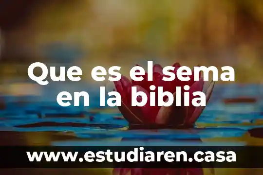 Que es resentimiento segun la biblia 3 Que es el sema en la biblia