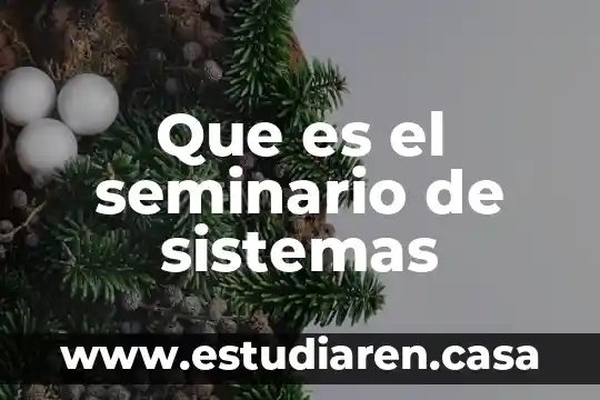 Que es la compra de sistemas 6 Que es el seminario de sistemas