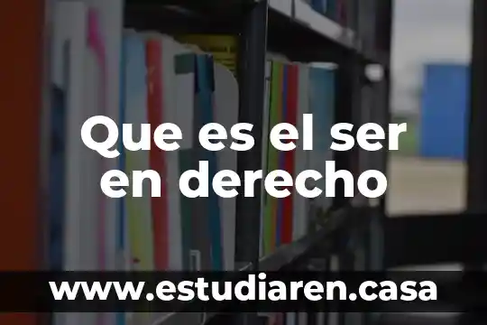 Qué es la concepción del derecho positivo 5 Que es el ser en derecho
