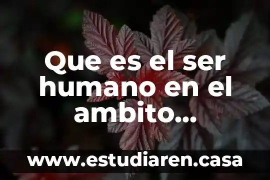 Que es el ser humano en el ambito psicologico