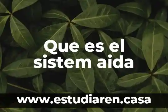 Que es el sistem aida