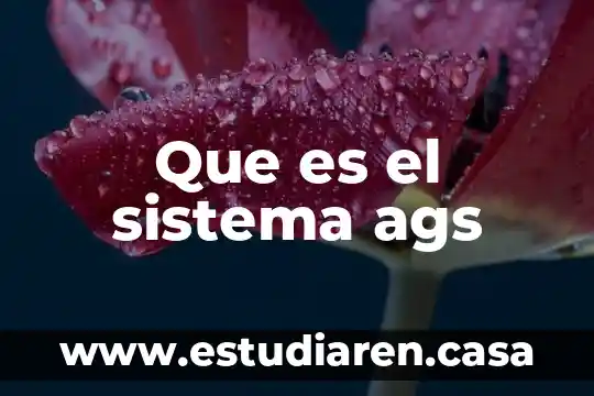 Que es un nucleo en un sistema operativo 5 Que es el sistema ags