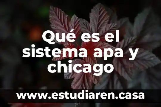 Que es el formato apa redalyc 8 Qué es el sistema apa y chicago