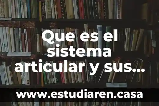 Juego articular que es 5 Que es el sistema articular y sus funciones