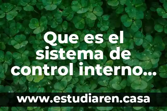 Que es el sistema de control interno en colombia