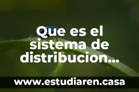 Investigar qué es un sistema 5 Que es el sistema de distribucion logistica