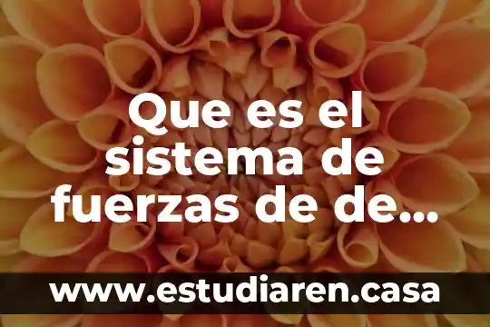 Que es cuando una persona se cotiza 3 Que es el sistema de fuerzas de de paralelo