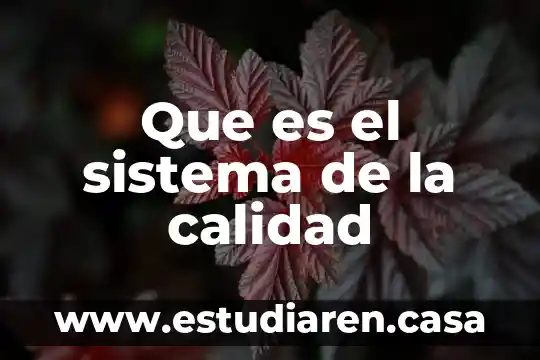 Que es el contrato audiovisual 7 Que es el sistema de la calidad