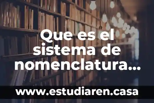 Que es el sistema de nomenclatura stock