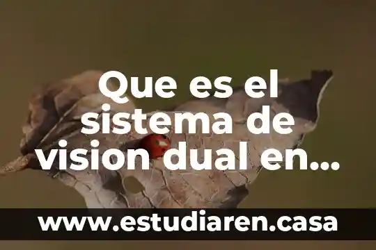 Que es una persona dual 7 Que es el sistema de vision dual en el ojo