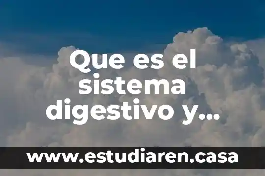 Que es el sistema incorporado a la unam 3 Que es el sistema digestivo y metabolico