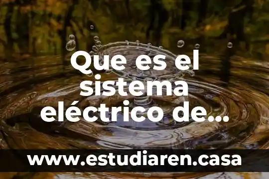 Internación temporal de vehículos que es 5 Que es el sistema eléctrico de regimen vehiculos automotores universidad