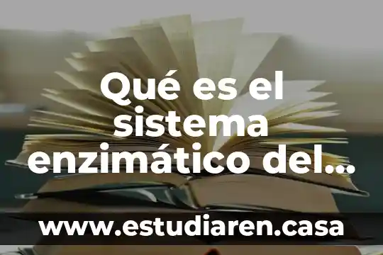 Que es bueno para limpiar el higado 7 Qué es el sistema enzimático del hígado