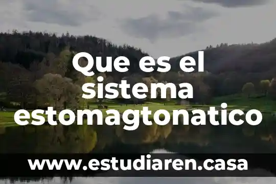 Que es el sistema galactico 6 Que es el sistema estomagtonatico