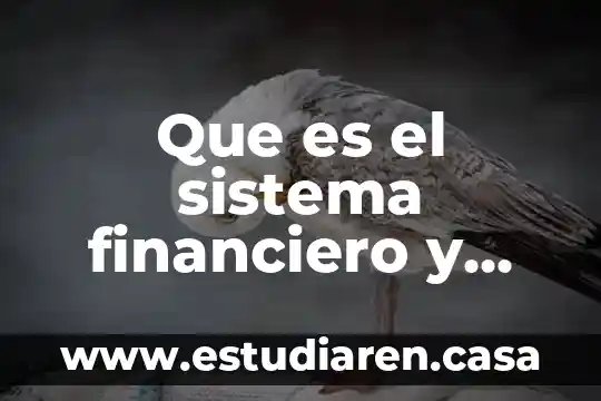 Que es el sistema financiero y como esta conformado banxico