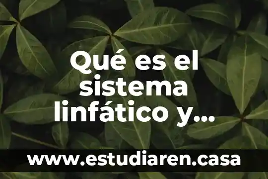 Qué es el sistema linfático y cuáles son sus funciones