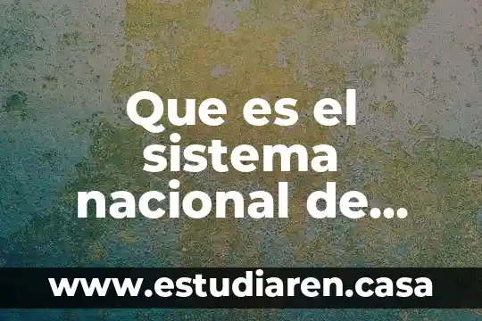 Que es cmic nacional 5 Que es el sistema nacional de coordinacion