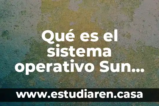 Que es el sistema operativo office 2007 4 Qué es el sistema operativo Sun OS