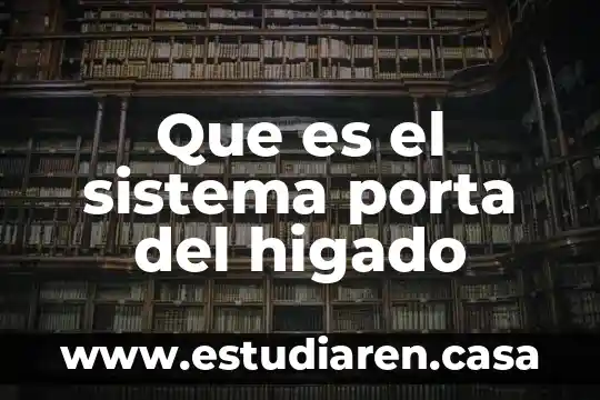 Qué es el sistema enzimático del hígado 4 Que es el sistema porta del higado
