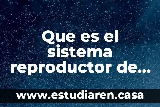 Qué es y para qué sirve el sistema reproductor masculino 7 Que es el sistema reproductor de la flor