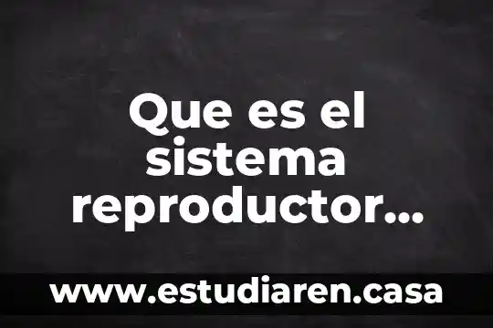 Qué es y para qué sirve el sistema reproductor masculino 8 Que es el sistema reproductor femenino componentes