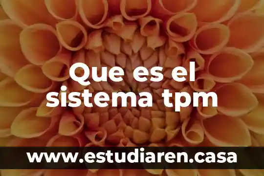Que es el sistema tpm