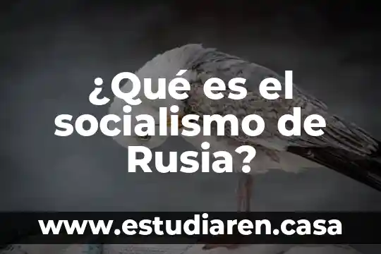 ¿Qué es el socialismo de Rusia?