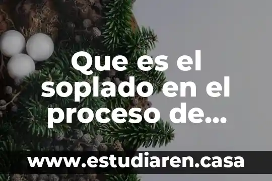 Que es un montaje de modelos 7 Que es el soplado en el proceso de montaje