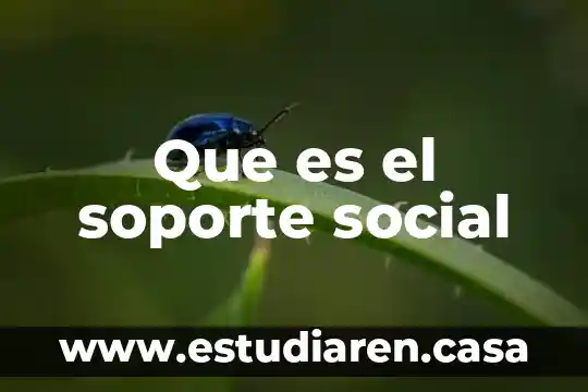 Que es el soporte social