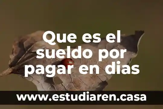 Que es el sueldo por pagar en dias