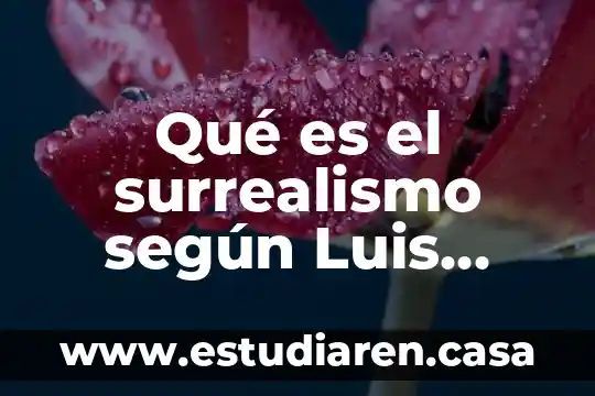 Qué es el Plan de San Luis de Potosí 5 Qué es el surrealismo según Luis Aragon