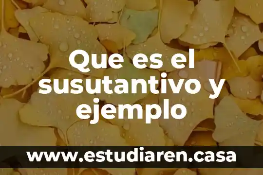 Que es un discurso directo y anota un ejemplo 5 Que es el susutantivo y ejemplo