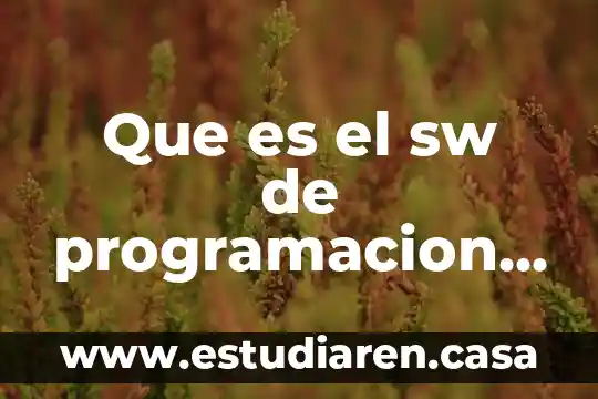 Que es el sw de programacion en un software