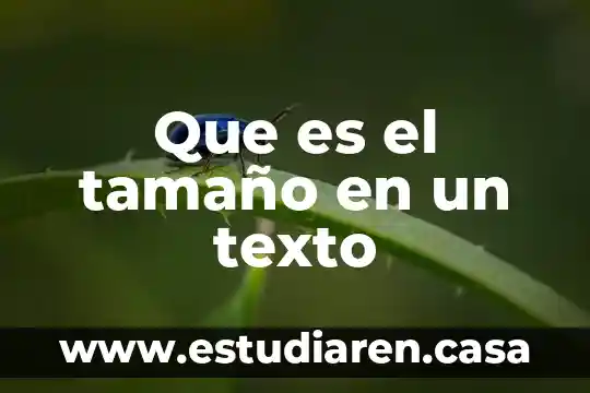 Que es una ajustar de texto en publisher 4 Que es el tamaño en un texto