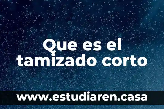 Qué es monopolio en economía corto 3 Que es el tamizado corto