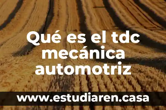 Que es lo que hace un hostess automotriz 5 Qué es el tdc mecánica automotriz